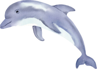 watercolor dolphin
