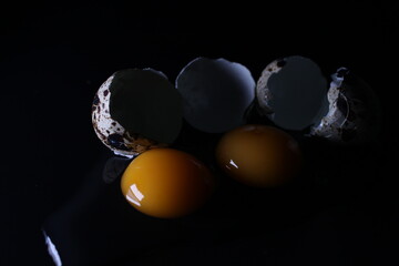 eggs on a black background