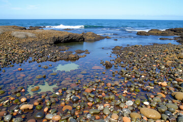 Rocky shoreline with tide pools and colorful sea life under clear sky