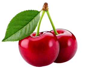 Isolated cherry with leaf on transparent white background, png