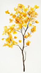 1432. 442. a well-lit watercolor painting, studio lighting, isolated on a white background, --ar 9:16 --v 6.1 Job ID: 20734ce8-8ad6-44f0-9b5e-b812fc53bf5f