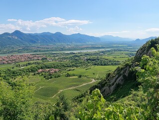 Panoramic view of a lush valley with vineyards, mountains and a river under clear blue sky
