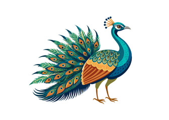 vector beautiful watercolor blue peacock .vector cartoon illustration isolated on white background