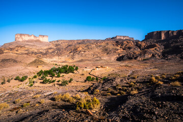 2024 03 14 Jebel Saghro Atlas oasis 112