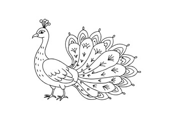 Fototapeta premium Greeting watercolor card with peacock. Frame of peacock made in Isolated vector illustration