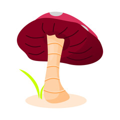 Red mushroom or fungi. Plant theme