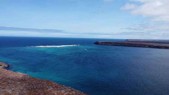 Mosquera in Santa Cruz Island, Galapagos