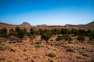 2024 03 14 Jebel Saghro Atlas oasis 115