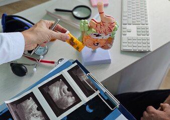 Intestinal tract and tablets in the hands of doctor with model of intestines