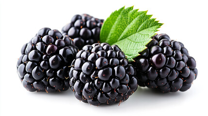 Fresh blackberries with vibrant green leaves ready for a healthy snack or dessert