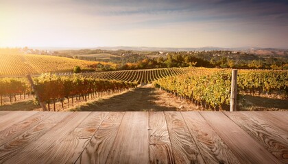 Fototapeta premium vineyard in the morning