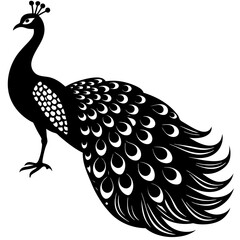 Fototapeta premium Cute Silhouette of a Peacock line art vector cartoon illustration
