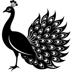 Cute Silhouette of a Peacock line art vector cartoon illustration