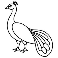 Cute Silhouette of a Peacock line art vector cartoon illustration