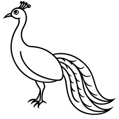 Cute Silhouette of a Peacock line art vector cartoon illustration