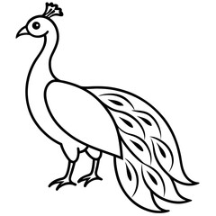 Cute Silhouette of a Peacock line art vector cartoon illustration