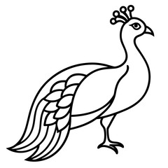 Cute Silhouette of a Peacock line art vector cartoon illustration