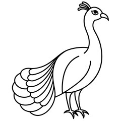Cute Silhouette of a Peacock line art vector cartoon illustration