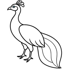 Cute Silhouette of a Peacock line art vector cartoon illustration