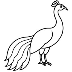 Cute Silhouette of a Peacock line art vector cartoon illustration