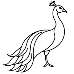 Cute Silhouette of a Peacock line art vector cartoon illustration