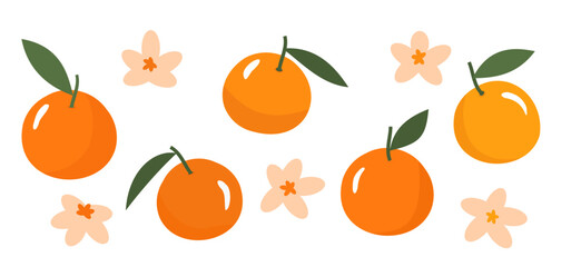 Orange fruit with green leaves and cute flower icon sign isolated on white background vector.