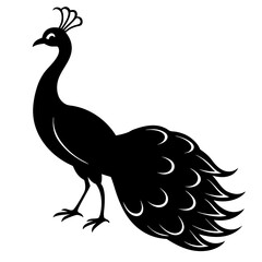 Cute Silhouette of a Peacock line art vector cartoon illustration