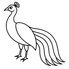 Fototapeta premium Cute Silhouette of a Peacock line art vector cartoon illustration