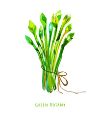 Juicy green vegetables and fruits for a healthy diet. Bio food for detox and vegetarianism. Fitness menu for yoga and baby food