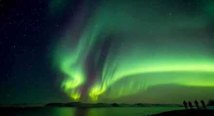 Naklejka premium The mesmerizing natural light display in the night sky, caused by the interaction of charged particles from the sun with the Earth's atmosphere.