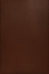 Fototapeta premium brown leather texture with a square frame for text