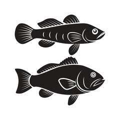 Fototapeta premium striped snakehead fish