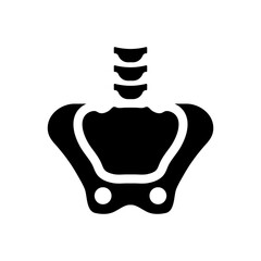 Anatomy pelvic icon