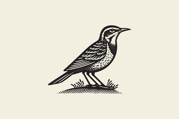 Simple black flat vintage engraving of a Western Meadowlark
