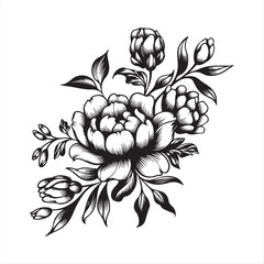 Elegant Peony Flower Bouquet isolated Vector Art on White Background