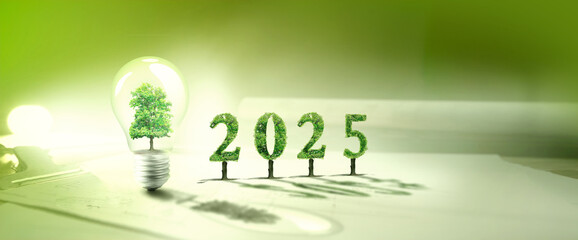 ampoule arbre 2025 écologie