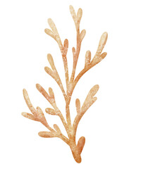 Obraz premium Watercolor illustration of Coral branch in pastel colors. Drawing of Reefs or seaweed for kids greeting cards or baby shower invitations. Algae for nursery wall art in nautical style.