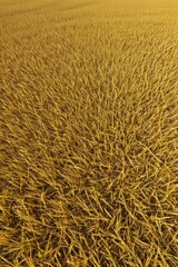 arafed field of wheat with a lone bird in the middle