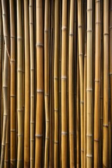 Fototapeta premium a close up of a bunch of bamboo poles with a lot of leaves