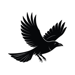 Obraz premium Crow silhouette, Crow Vector Illustration icon