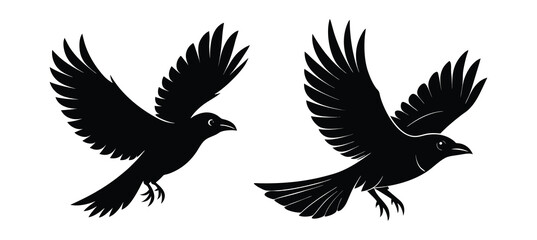 Crow silhouette, Crow Vector Illustration icon