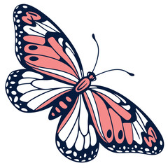 Butterfly Illustration On White Background