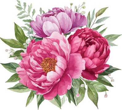 pink peonies watercolor floral arrangement clip art preview