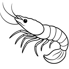 Shrimp Outline Graphic