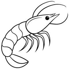 Shrimp Outline Graphic