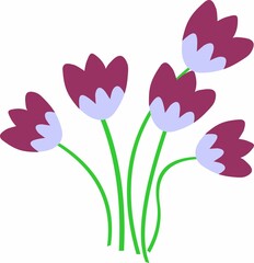 flowers illustration