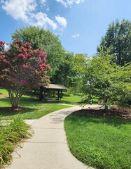 Fototapeta premium Grass and trees, and a pink cherry blossom tree, with a light brown path on a sunny spring day with blue sky, with a picnic table