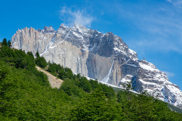 Snow-capped massif of Torres del Paine National Park stands out against the blue sky behind green forests