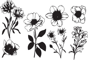 Set Flowers. Hand drawn vector illustration