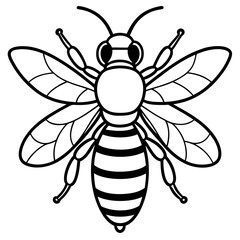 bee and flower